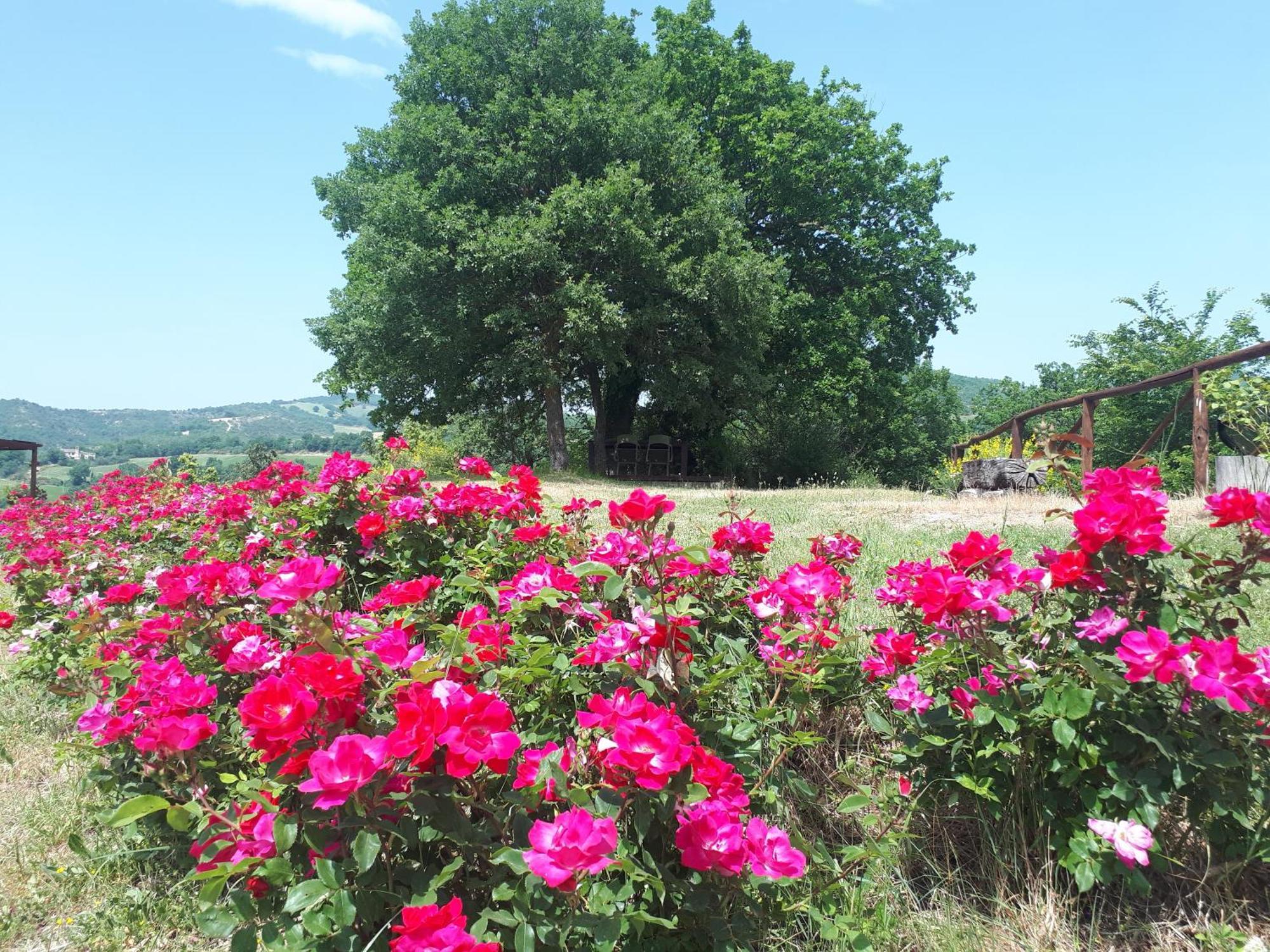 Agriturismo Molleone Cagli Esterno foto